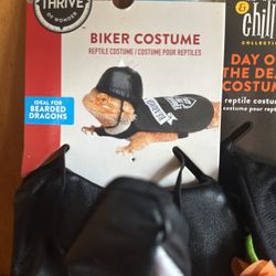 3X Bearded Dragon Costumes