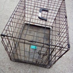 Dog Kennel 