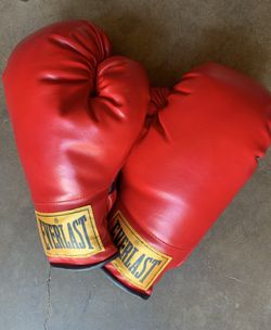 Everlast Red Boxing Gloves 14oz