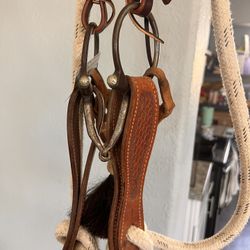 New Snaffle Set Up