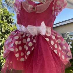 Disney Costume 