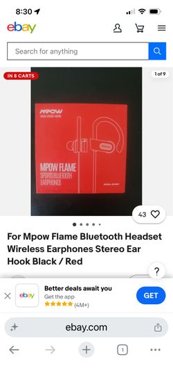 Earphones
