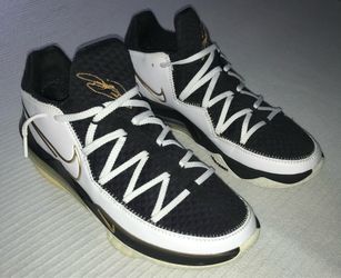 NIKE LEBRON 17 LOW. (make a offer)