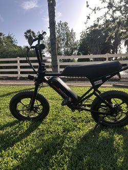 Mac Fox M19 Electric Bike