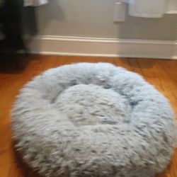 Puppy Dog Bed