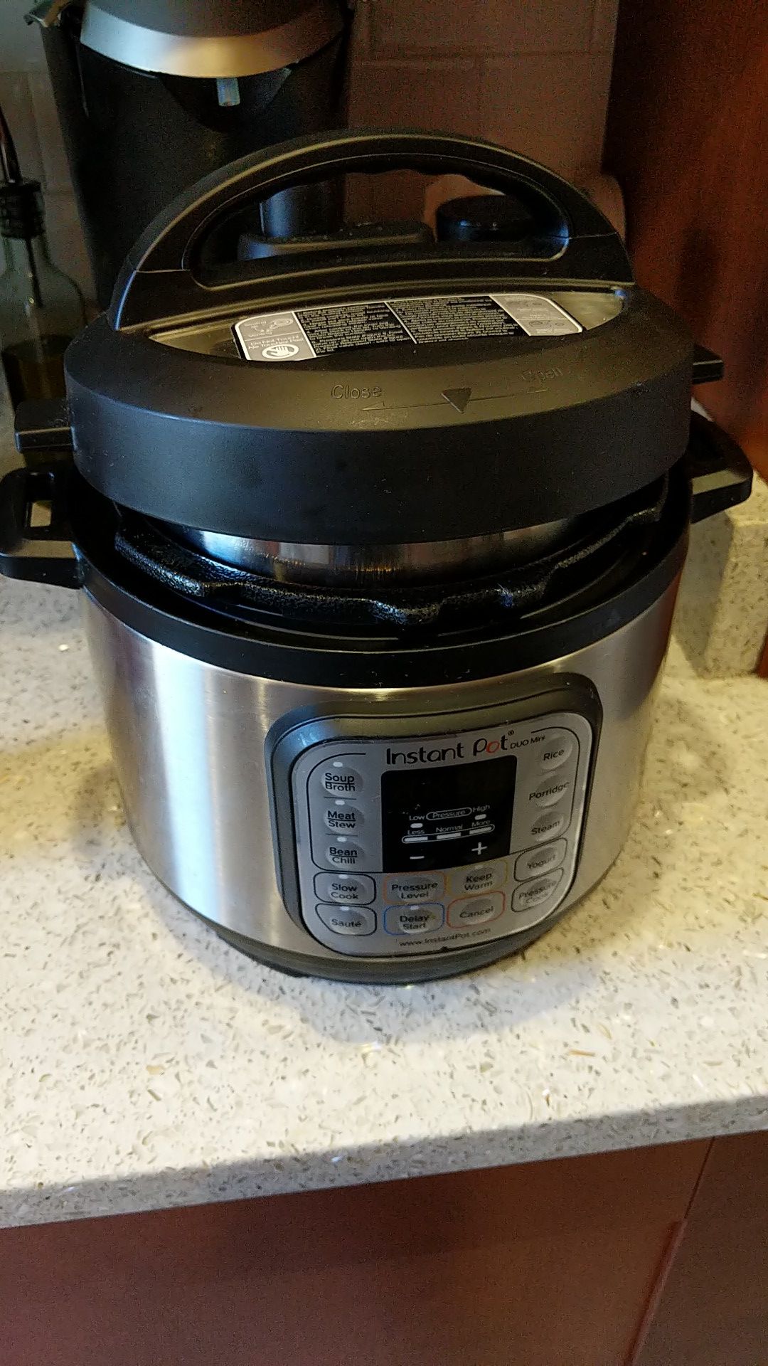 Instant Pot Duo Mini