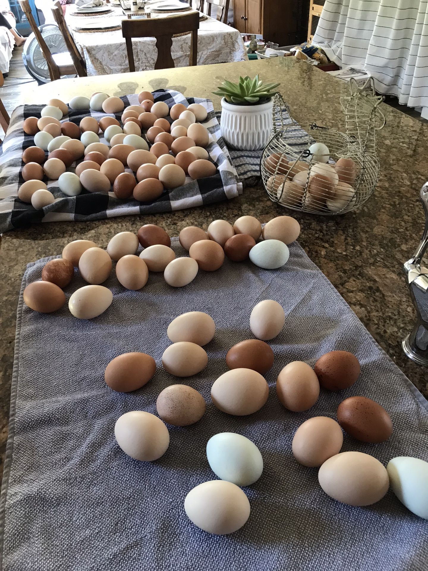 Organic farm fresh eggs $5 dozen