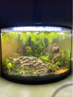Top Fin 6 Gallon Aquarium