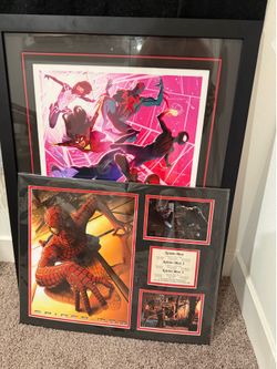 Spider-Man Art