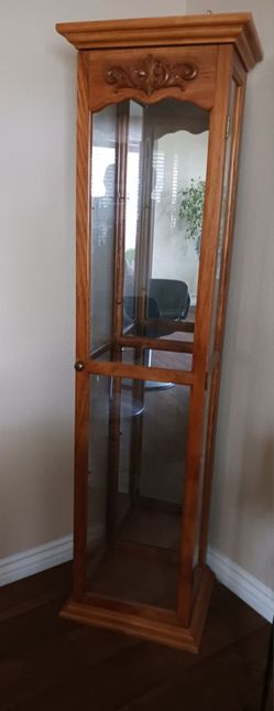 Glass Cabinet Mirrored