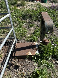 Live Stock Scale