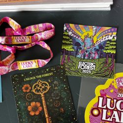Two Electric Forest Lucky Lake Ticket plus camping
