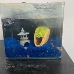 fish tank 