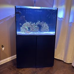 Aquarium/ Fish Tank 