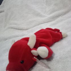 Beanie Babys I Have Lots