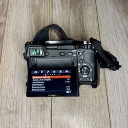 Sony A6300 Mirrorless Camera Body + 4 Batteries + Cage + Charger (4K Video)