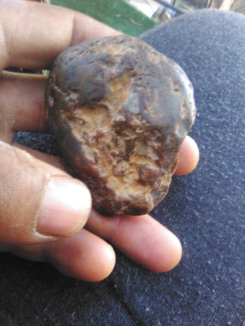 Chance Of A Lifetime (Enormous Rare California Gold Nugget)