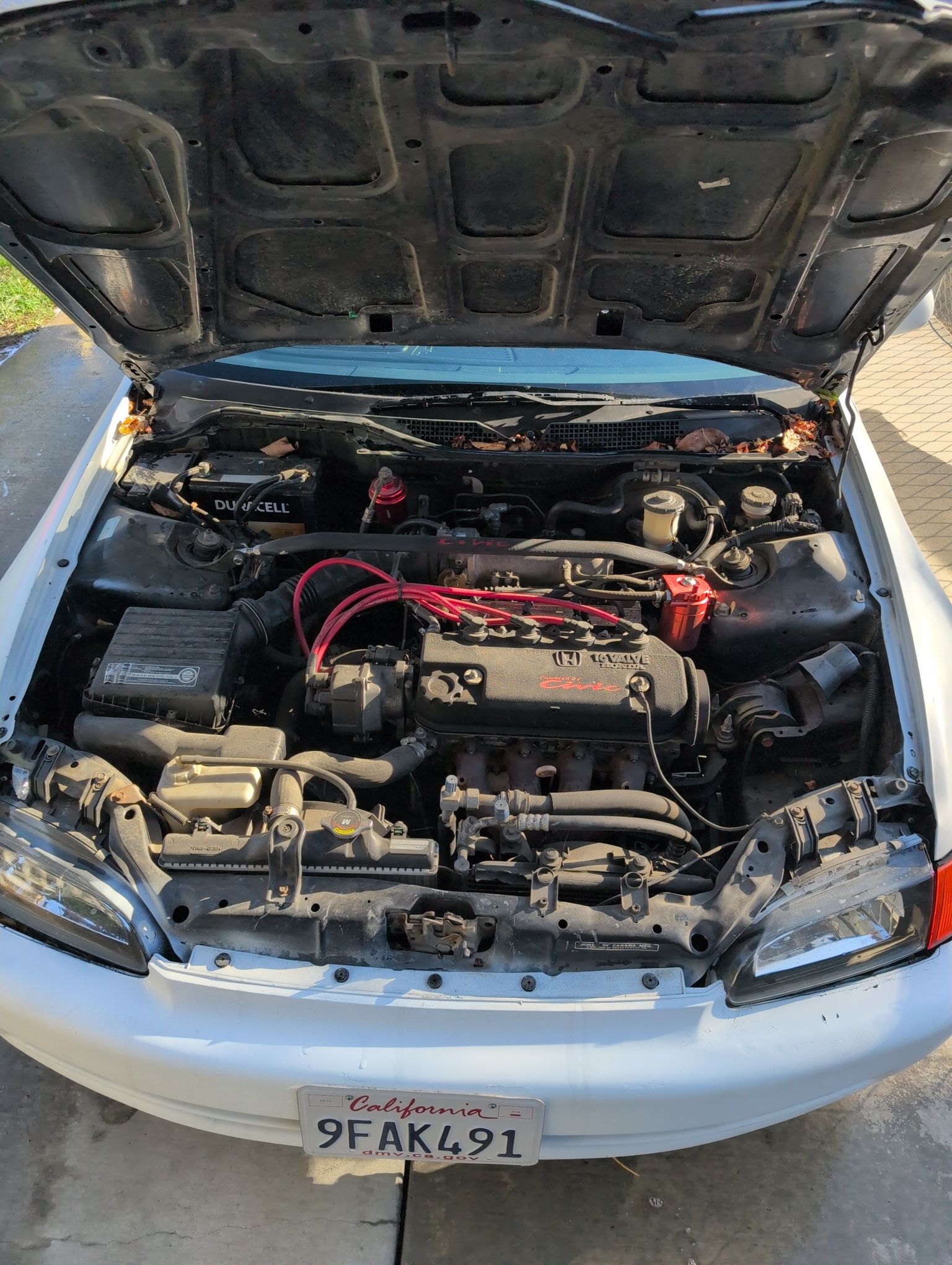 1995 Honda Civic