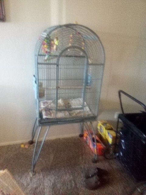7 Ft Parrot Or Parakeets Cage With Toys 2 Glass food Bowls