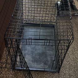 Medium kennel