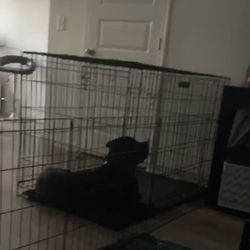 Dog Cage