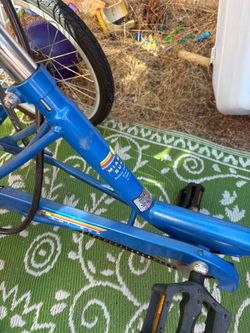 Miami sun three wheel bicycle with basket