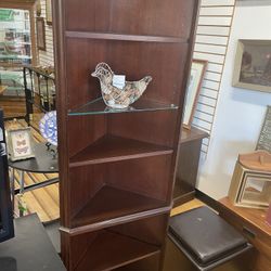Elegant Coner Curio ( Excellent Condition )