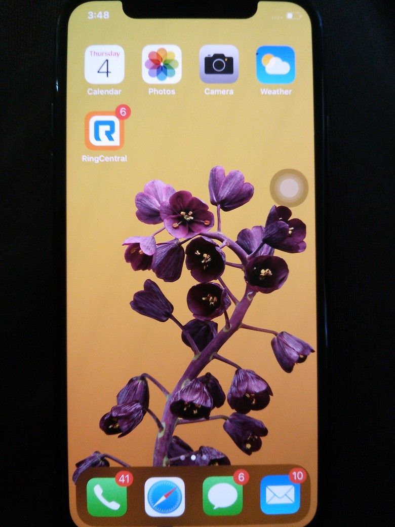 iPhone X