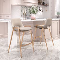 Desi Beige & Gold Counter Stool (Set of 2)