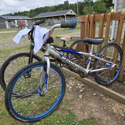 Redline Junior Bmx Race Bike