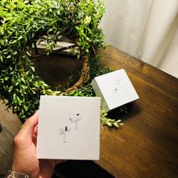 AirPod Pro 2nd Gen 