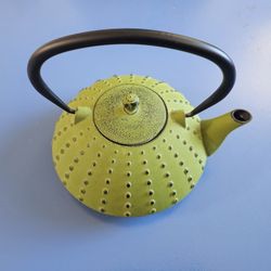 Cast Iron Teapot 