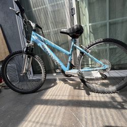 Schwinn Ranger