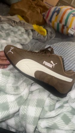 Puma cat speed