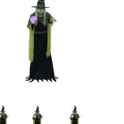 5FT FORTUNE WITCH