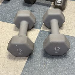 Dumbbells Pair 12lbs 