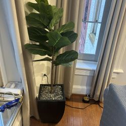 Fake Plant