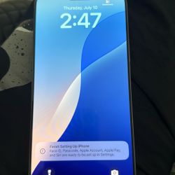 iPhone 16 Pro Max  Unlocked