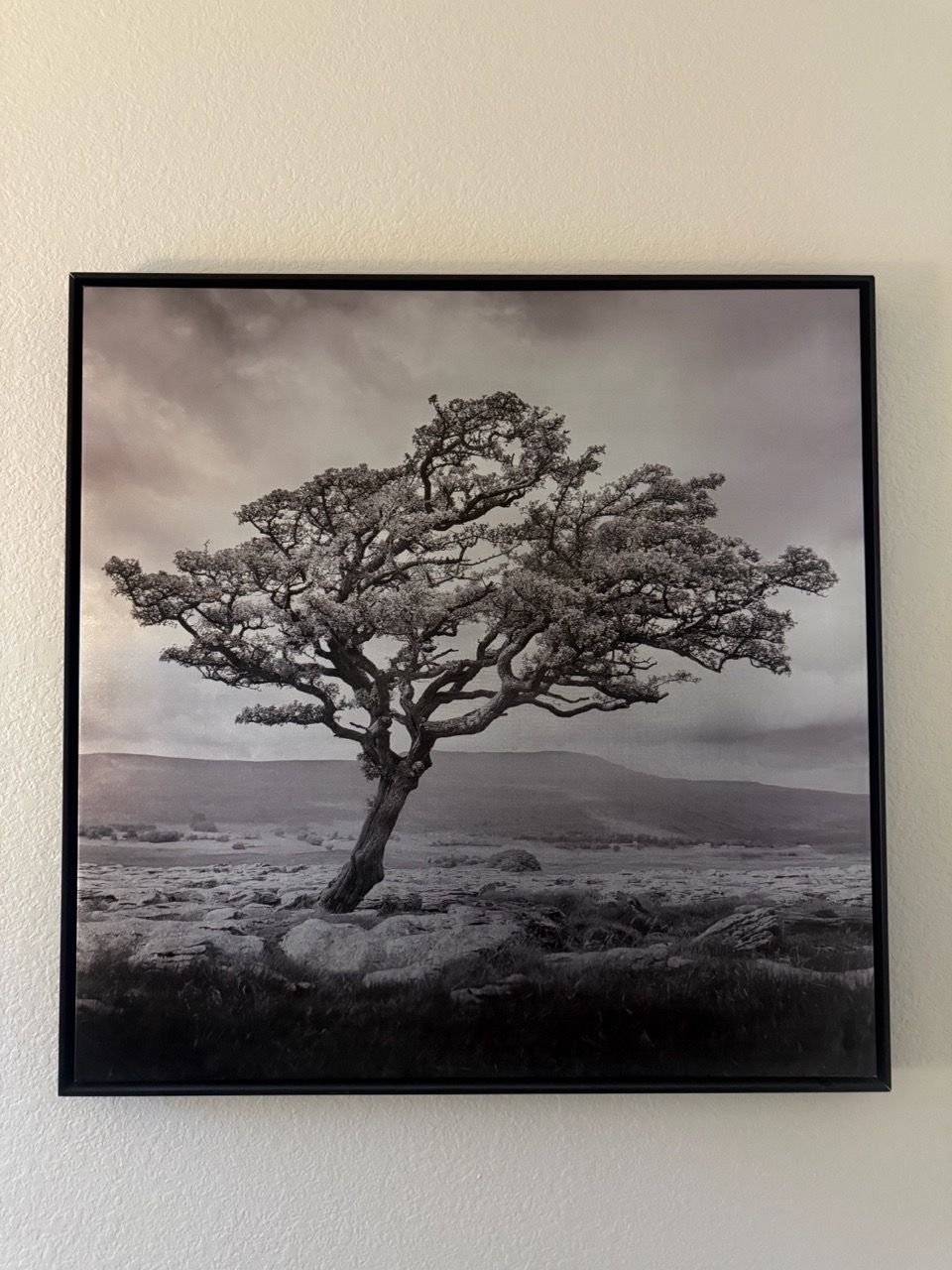 Elegance | Large Canvas | Wall Art | for Sale in Gilbert, AZ - OfferUp