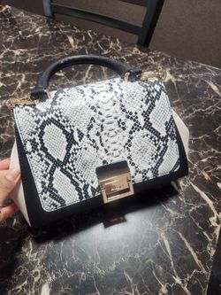 Aldo Purse