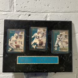Miami Dolphins NFL decor
