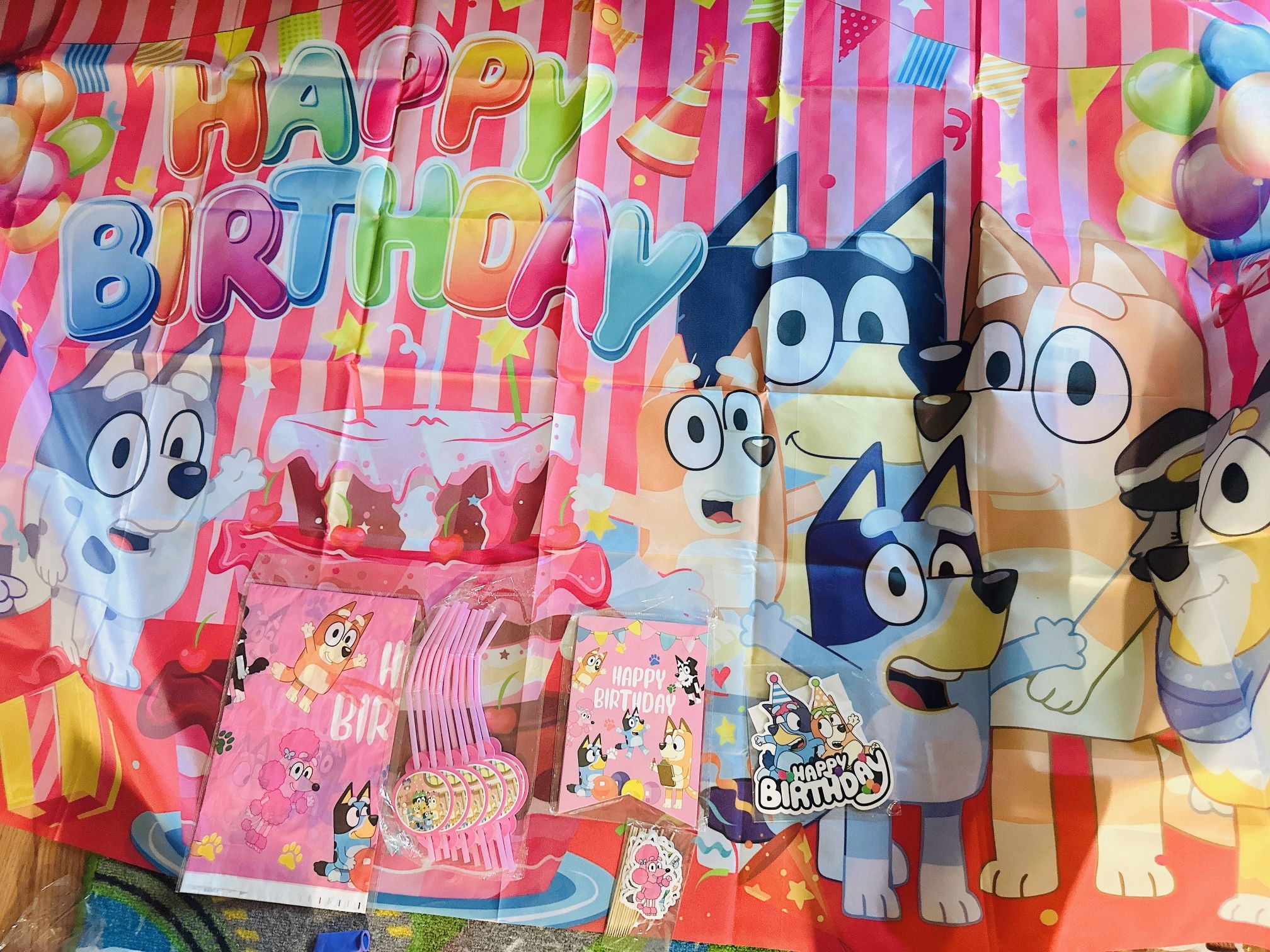 Bluey 2 packages $25 each Package