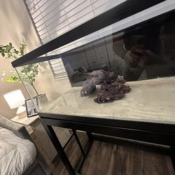 40 Gallon Tank For Sale! Used For Only 1 Month 