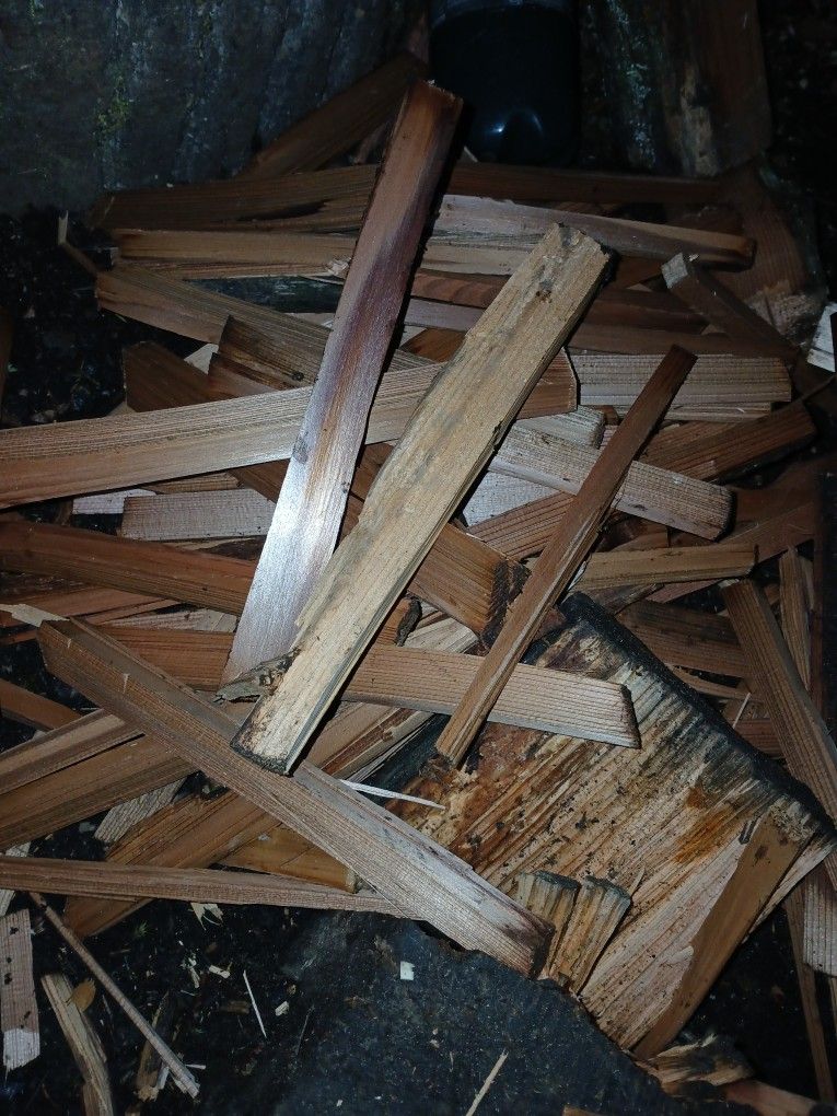 Bundles The Size Of Five Gal Bucket Of Nothing But Superior Bone Dry Cedar Kindling