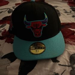 Bulls Fitted