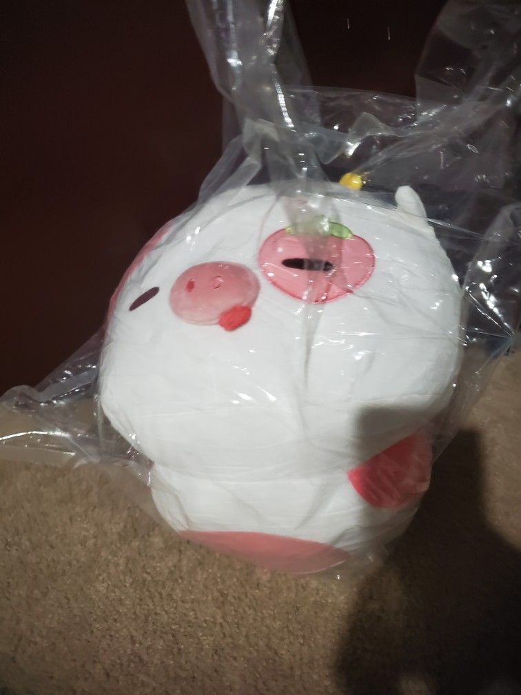 Squishy (New)(firm On Price No Lower Price