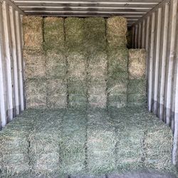 Alfalfa Bales Of Hay