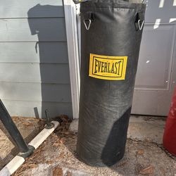 Everlast Heavy Punching Bag And Boxing Gloves 