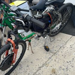 Schwing Electric Bike And Stingray Hand Craft 