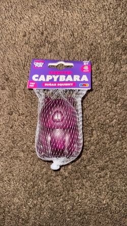 Capybara sugar squishy